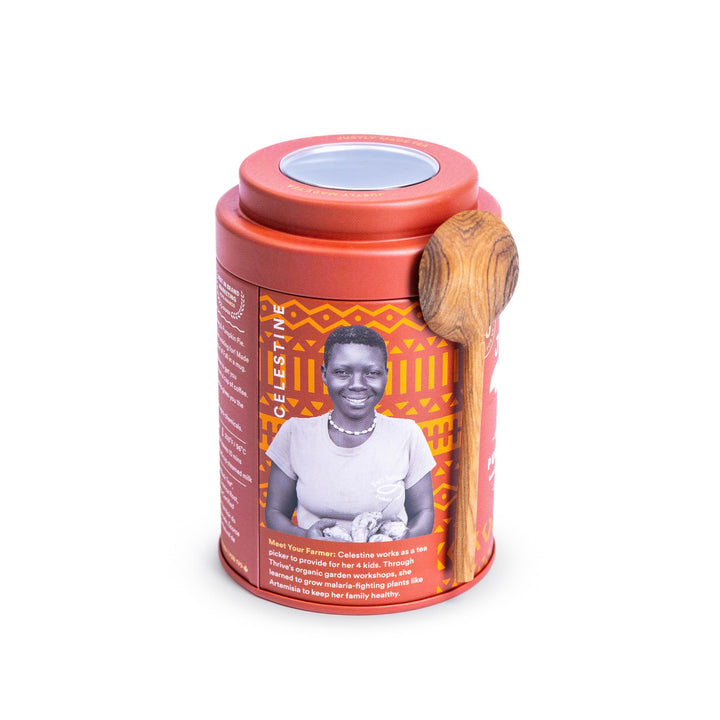 JusTea Pumpkin Spice Loose Leaf Black Tea | 120g Tin with Hand-Carved Spoon | 40+ Servings | Medium Caffeine | Fair Trade & Organic - Canadian Distribution - Ships Free Within Canada on Orders Above CAD $199