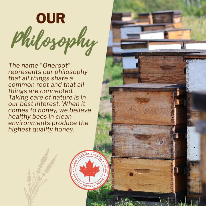 Oneroot – Canadian Raw Buckwheat Honey – Original – 1kg – High antioxidants