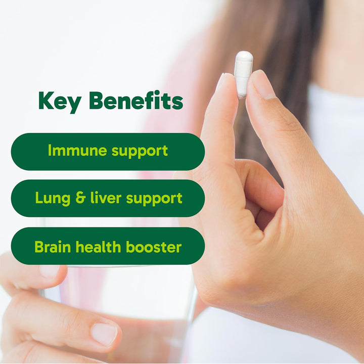 Organika – NAC – 500 mg – 90 Capsules