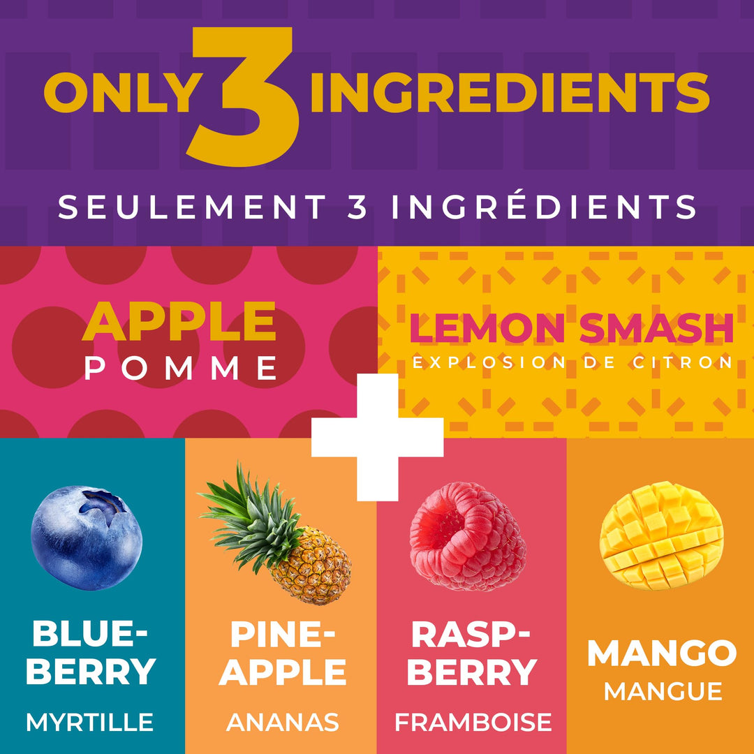 Zest Delites – Fruit Leather Lavashak – Mixed Fruit – 36 × 25g – Gluten-Free