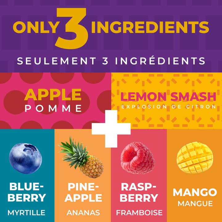 Zest Delites – Fruit Leather Lavashak – Mixed Fruit – 36 × 25g – Gluten-Free