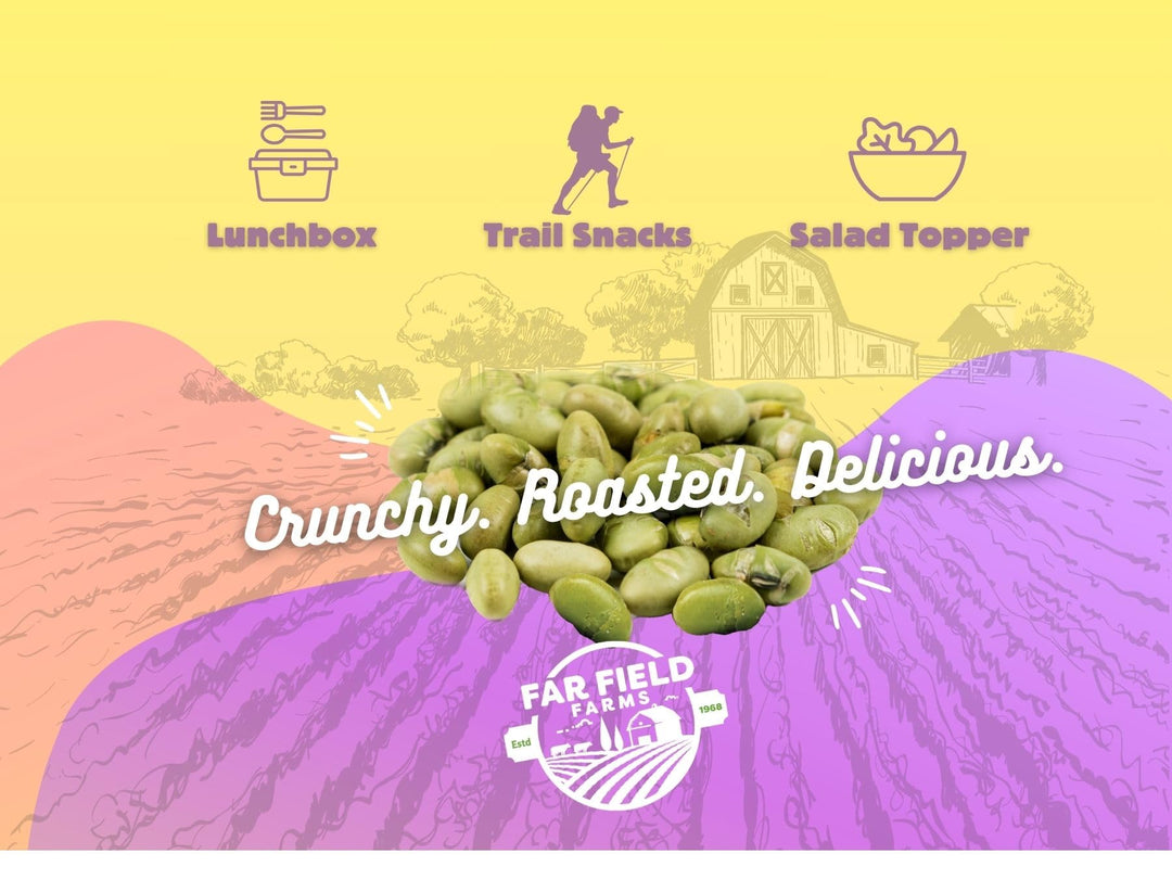 Far Field – Roasted Edamame – Sea Salt – 20 × 26g – High Protein