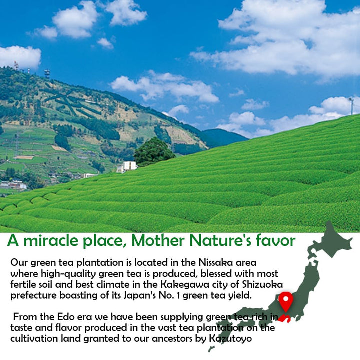 Organic Matcha – Ceremonial Grade – First Harvest – 100g – Made in Japan