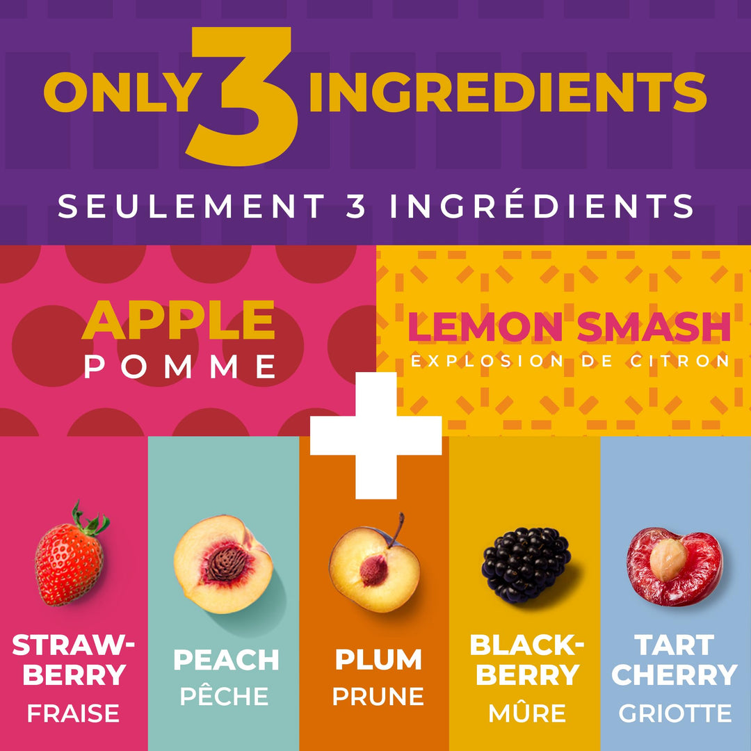 Zest Delites – Fruit Leather Lavashak – Mixed Fruit – 50 × 25g – Individually wrapped