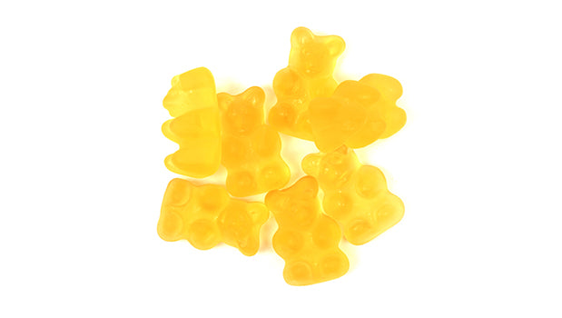 Champagne Gummy Bears on a white background - sold in a 6.61 LB Box - Canadian distribution