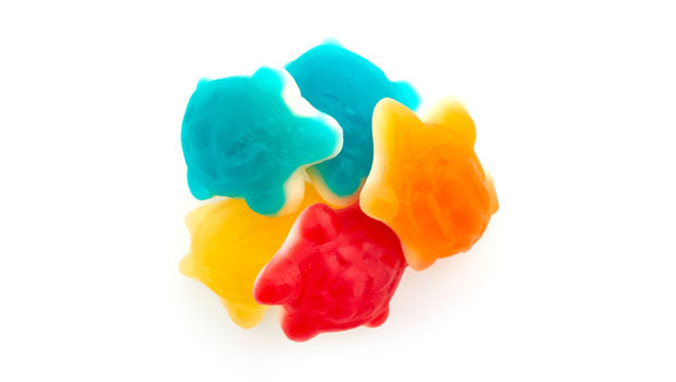 Colorful gummy turtle candies on a white background