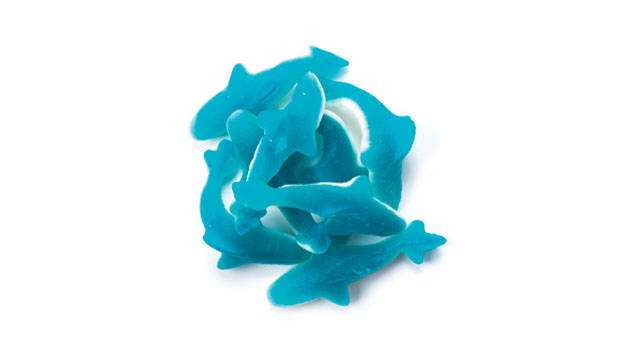 Blue gummy sharks candy on a white background