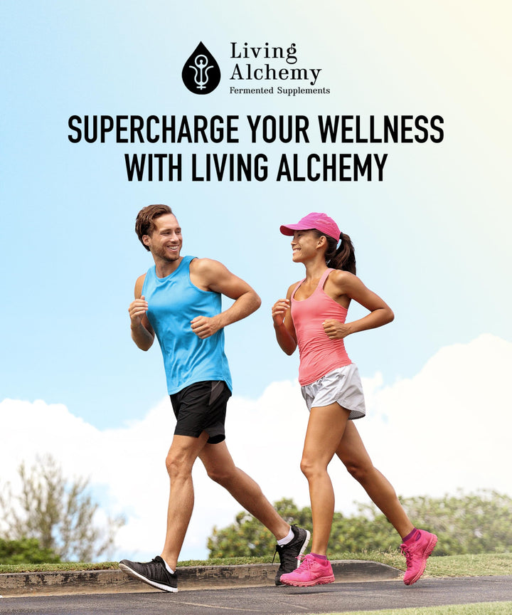 Living Alchemy Fermented Turkey Tail Mushroom – Organic Adaptogenic Supplement for Digestive & Immune Support, 60 Capsules - Canadian Distribution - Ships Free Within Canada on Orders Above CAD $199