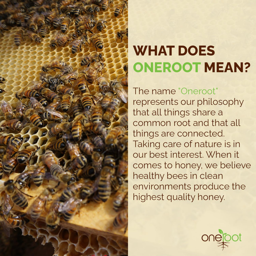 ONEROOT – Buckwheat Honey – Raw & Unpasteurized – 500g