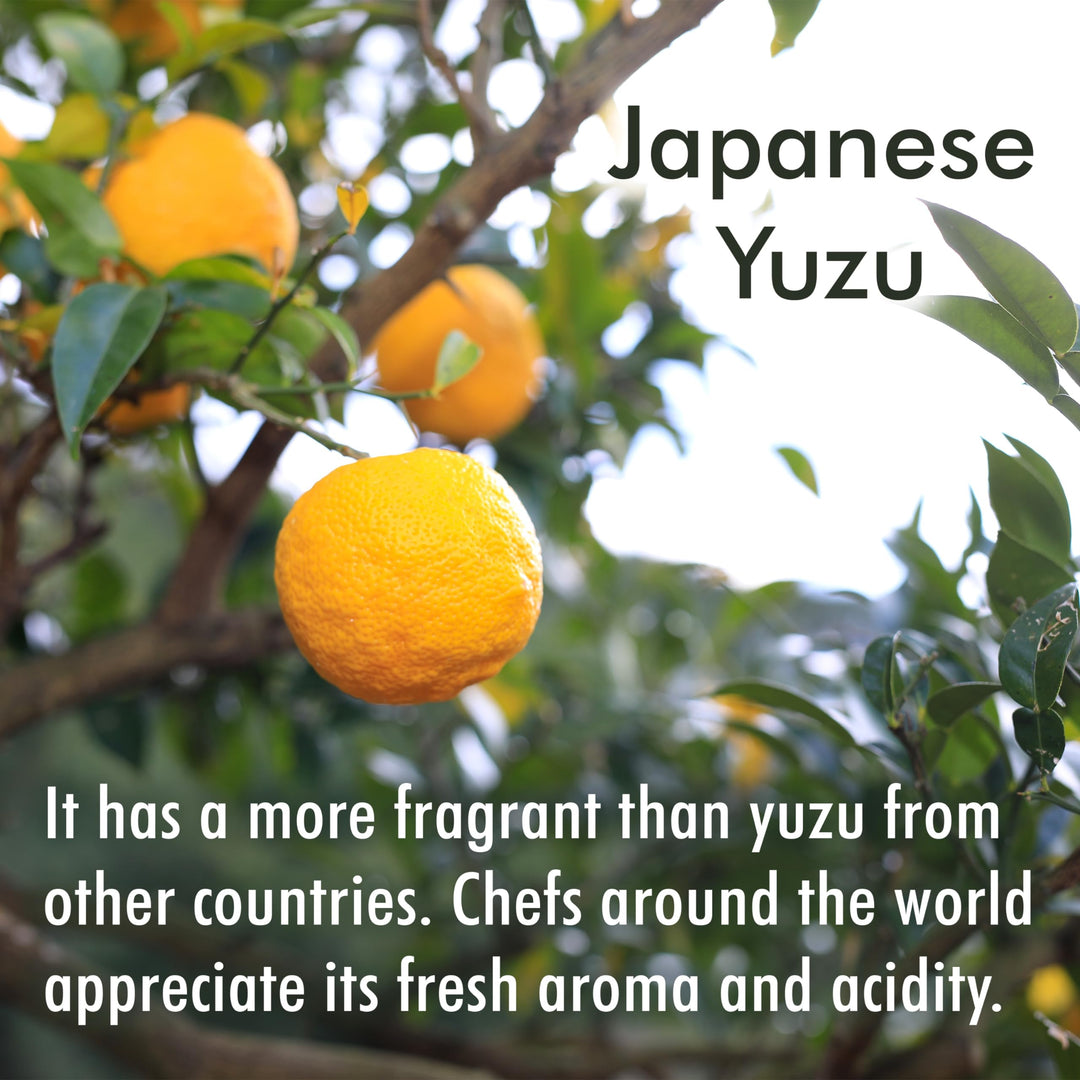 Japanese Yuzu fruit on a tree with text about its fragrance and appreciation by chefs.