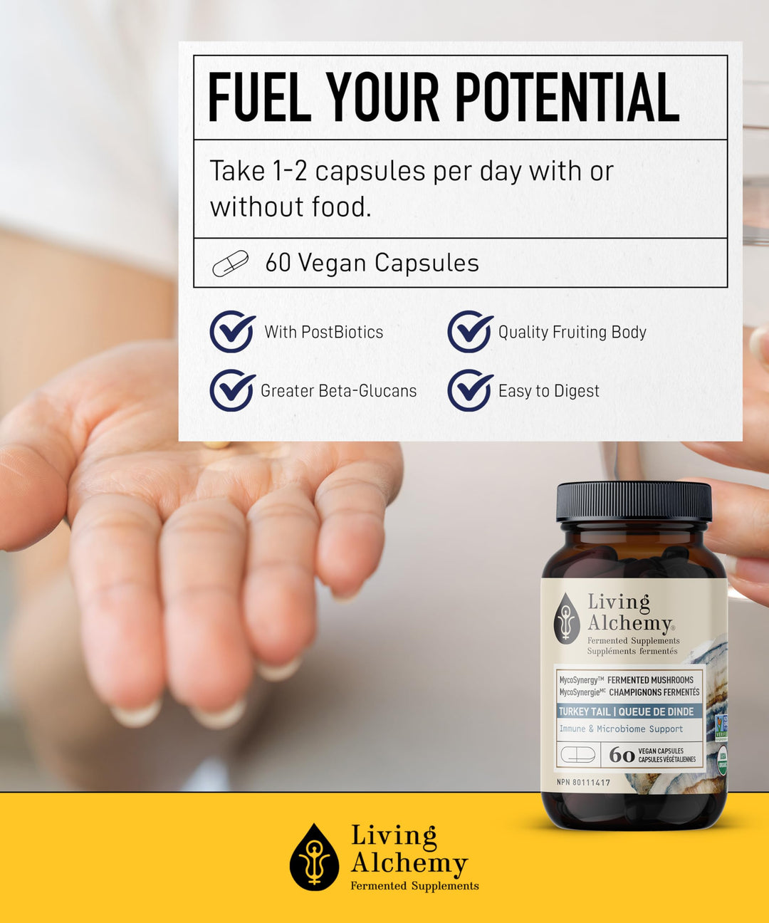 Living Alchemy Fermented Turkey Tail Mushroom – Organic Adaptogenic Supplement for Digestive & Immune Support, 60 Capsules - Canadian Distribution - Ships Free Within Canada on Orders Above CAD $199