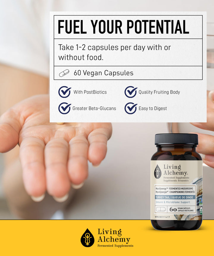 Living Alchemy Fermented Turkey Tail Mushroom – Organic Adaptogenic Supplement for Digestive & Immune Support, 60 Capsules - Canadian Distribution - Ships Free Within Canada on Orders Above CAD $199