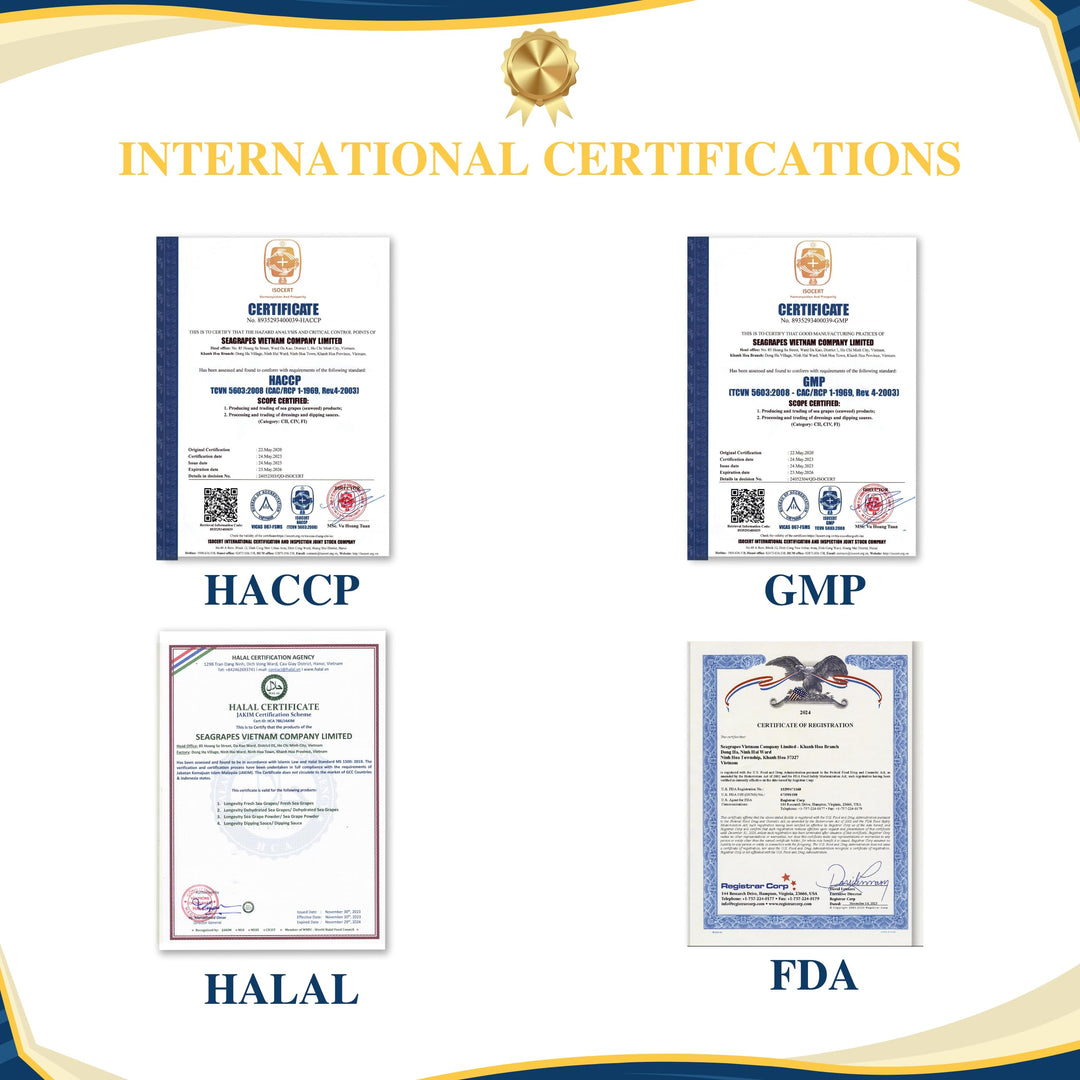 Longevity – Sea Grapes Umibudo Green Caviar – Original – 6 Pack – Dehydrated saltwater marinated