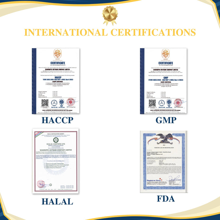 Longevity – Sea Grapes Umibudo Green Caviar – Original – 6 Pack – Dehydrated saltwater marinated