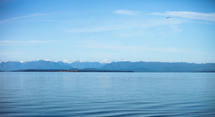 Vancouver Island Salt – Large Salt Flakes – Sea Salt – 1kg