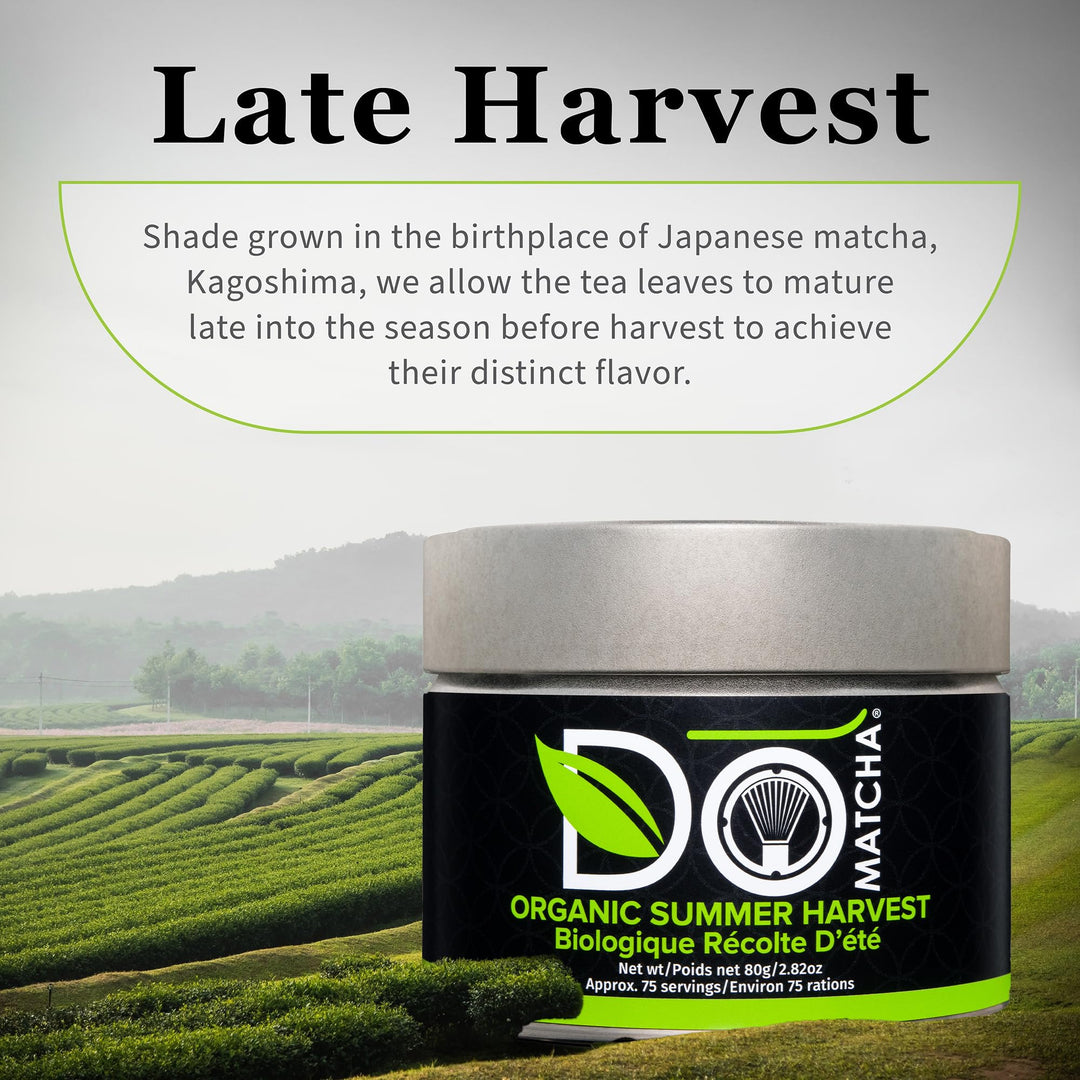 DoMatcha – Matcha Powder – Organic Summer Harvest – 80g Tin