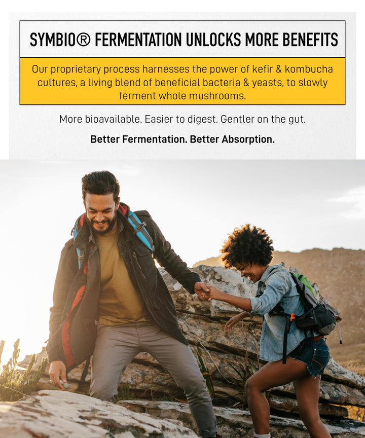 Living Alchemy Fermented Turkey Tail Mushroom – Organic Adaptogenic Supplement for Digestive & Immune Support, 60 Capsules - Canadian Distribution - Ships Free Within Canada on Orders Above CAD $199