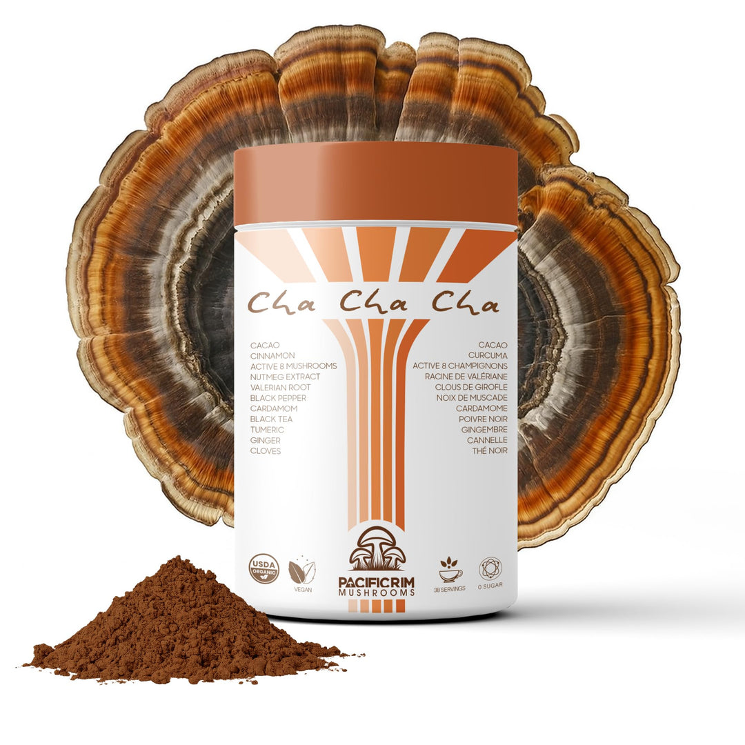 Pacific Rim Mushrooms – Cha Cha Cha Mushroom Cacao – Chai Spice – 8 Mushroom Blend – Energy and focus