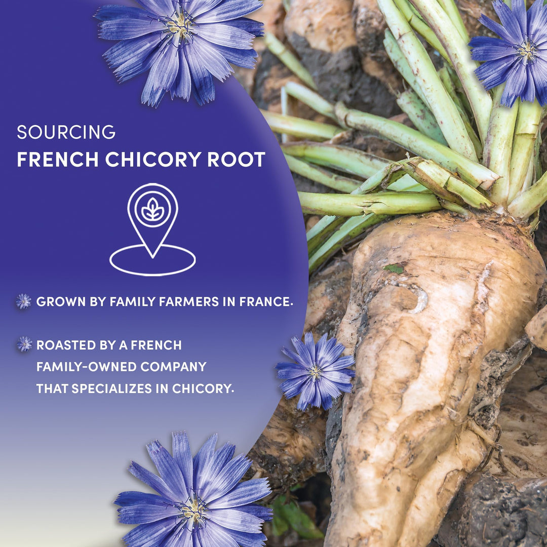 Worldwide Botanicals – Roasted Chicory Root – Original – 2 × 454g – Coffee alternative