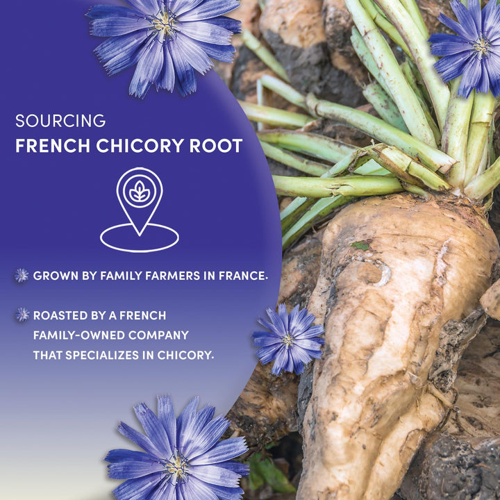 Worldwide Botanicals – Roasted Chicory Root – Original – 2 × 454g – Coffee alternative