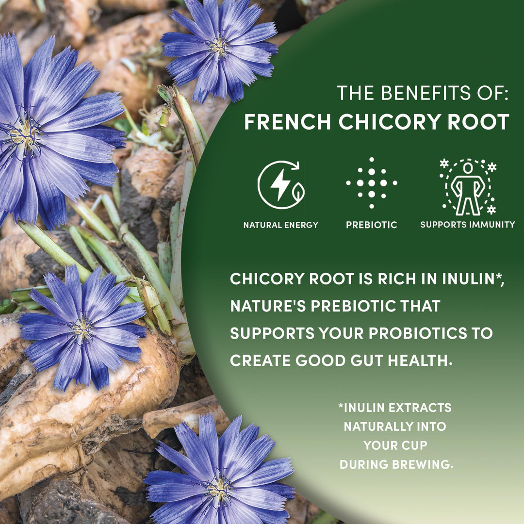 Worldwide Botanicals – Roasted Chicory Root – Original – 2 × 454g – Coffee alternative