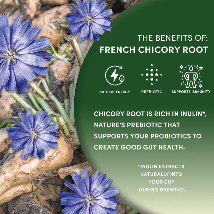 Worldwide Botanicals – Roasted Chicory Root – Original – 2 × 454g – Coffee alternative