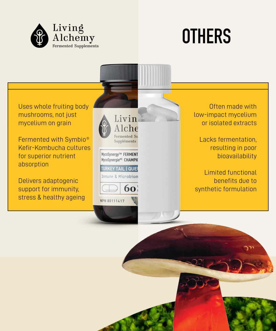 Living Alchemy Fermented Turkey Tail Mushroom – Organic Adaptogenic Supplement for Digestive & Immune Support, 60 Capsules - Canadian Distribution - Ships Free Within Canada on Orders Above CAD $199