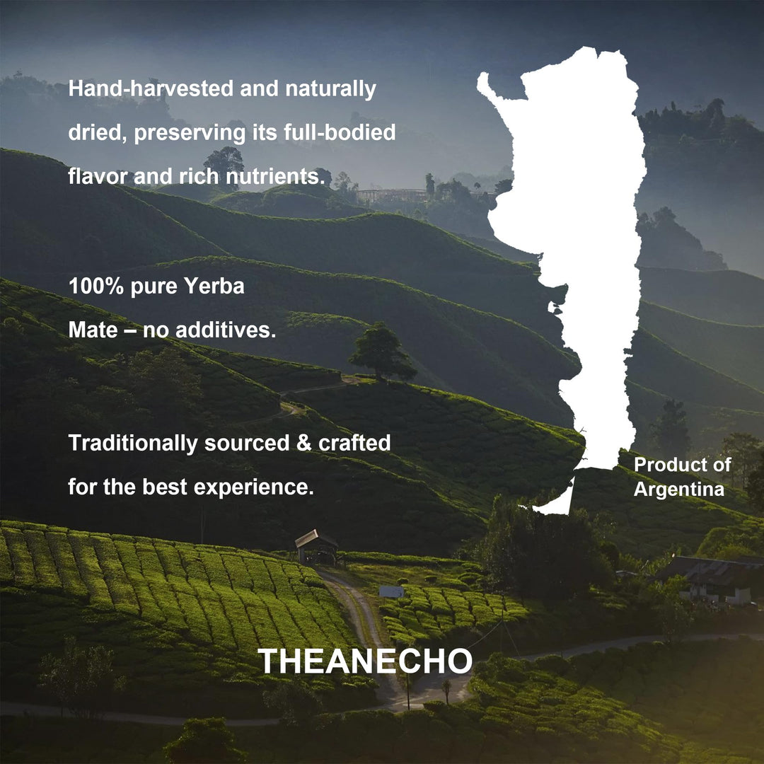 Yerba Mate – Yerba Mate Powder – Peach Mango – 30 Servings – Probiotic and prebiotic blend