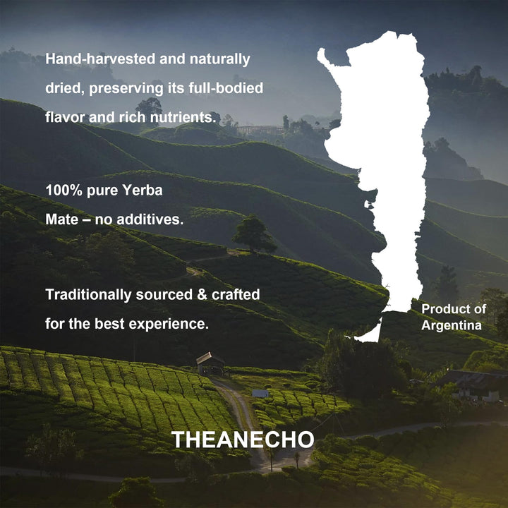 Yerba Mate – Yerba Mate Powder – Peach Mango – 30 Servings – Probiotic and prebiotic blend