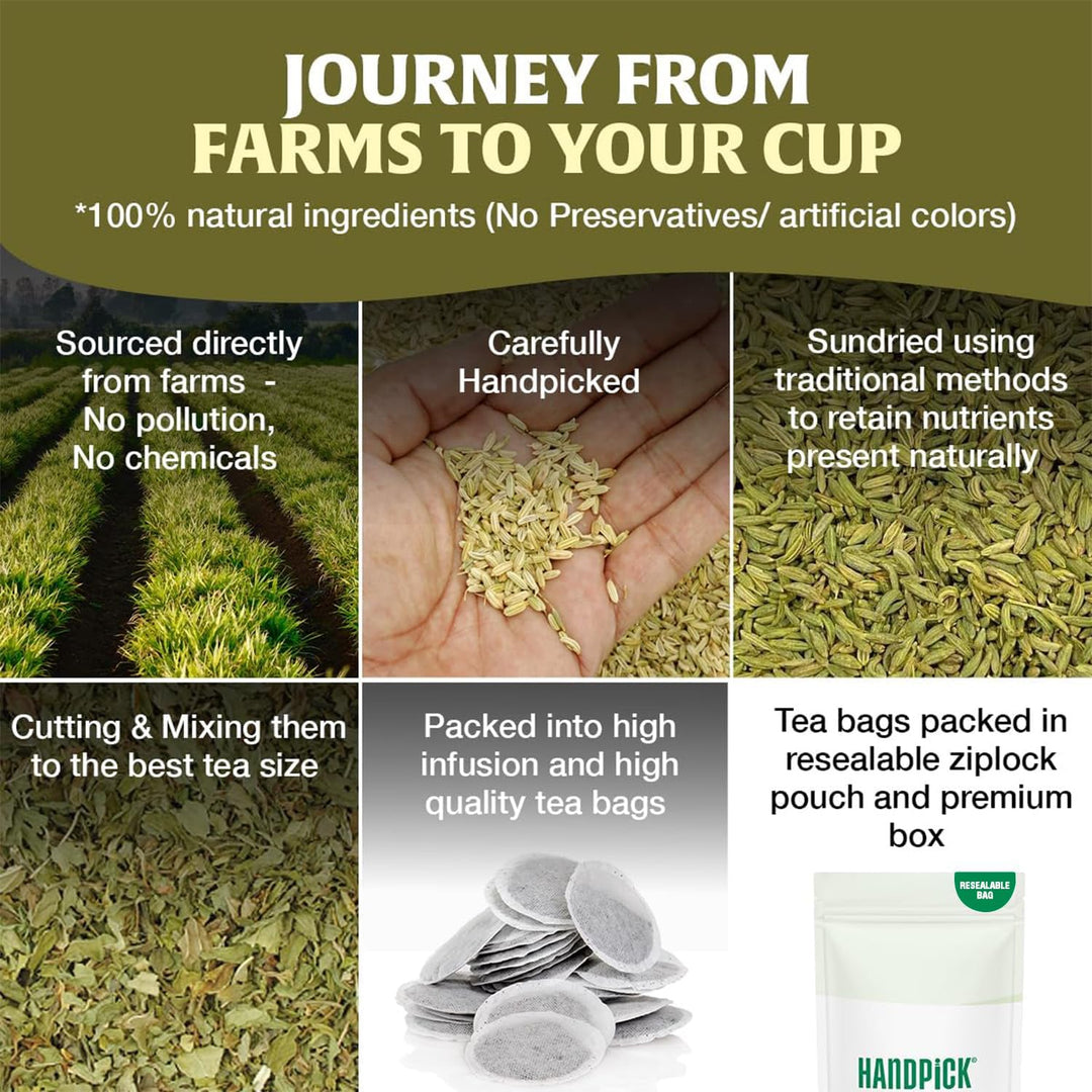 HANDPICK Fennel Tea Bags - 100 Count Herbal Tea, Caffeine-Free, Pure Whole Fennel Seeds - Canadian Distribution - Ships Free Within Canada on Orders Above CAD $199