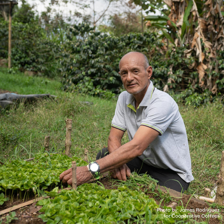 Equator Coffee Roasters – North Star Espresso Blend – Cocoa and Dark Cherry – 12oz – Organic