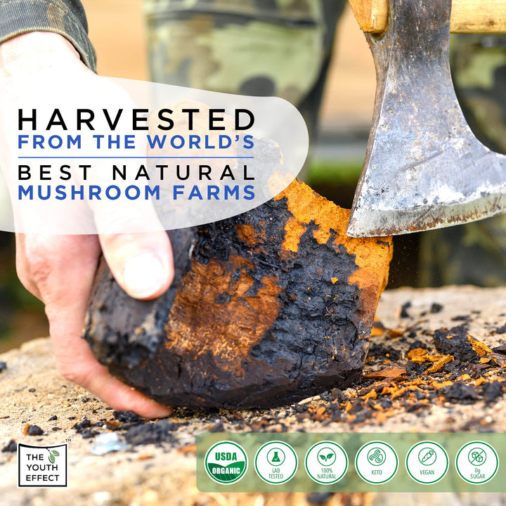 The Youth Effect – Mushroom Coffee – 6 Superfood Mushrooms – 100 g