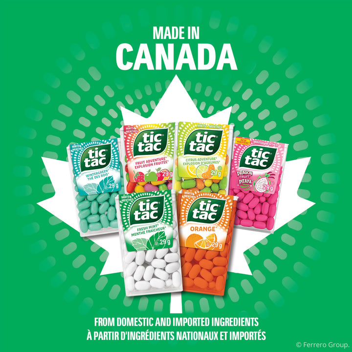 TIC TAC Dragon Fruit Mints – 60 Count Bulk Pack (12 × 29g Singles) - Canadian Distribution - Ships Free Within Canada on Orders Above CAD $199