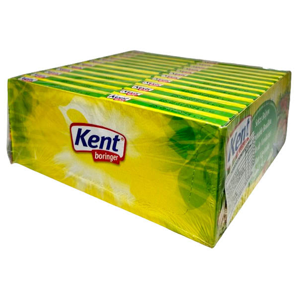 KENT BORINGER - CHICKEN FLAVORED CUBE BOUILLON 96X6X10 GR