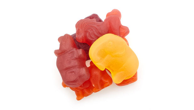 Jelly zoo animals candy on a white background
