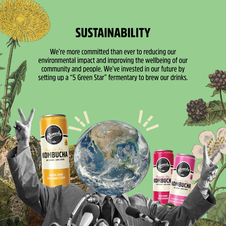 Remedy – Kombucha – Mango Passion – 24 × 355mL – Sugar free