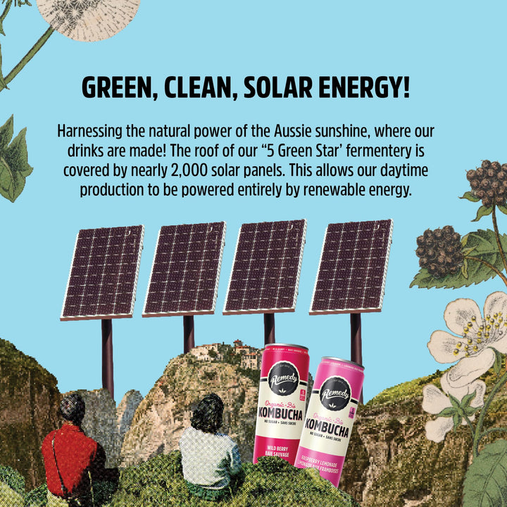 Remedy – Kombucha – Ginger Lemon – 24 × 355mL – Sugar free