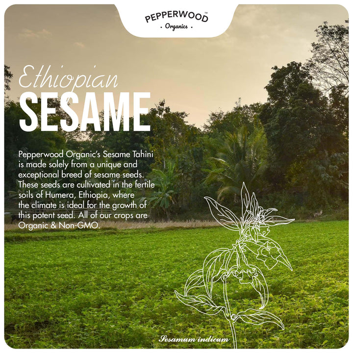 Organic Tahini – Stone Ground Sesame Paste – Unhulled – 2 × 330g