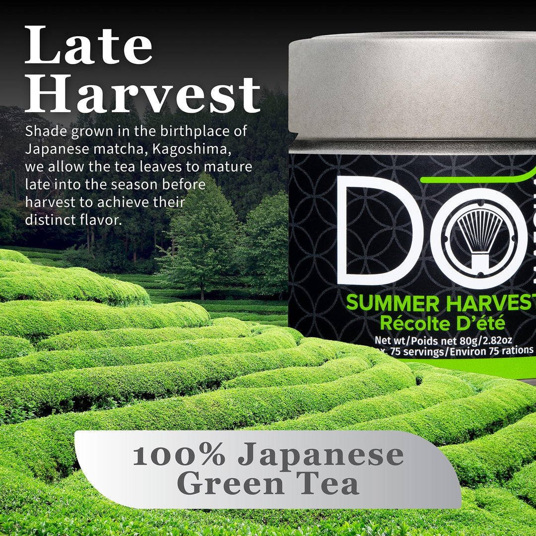 DoMatcha – Summer Harvest Matcha – 80 g Tin – 75 Servings
