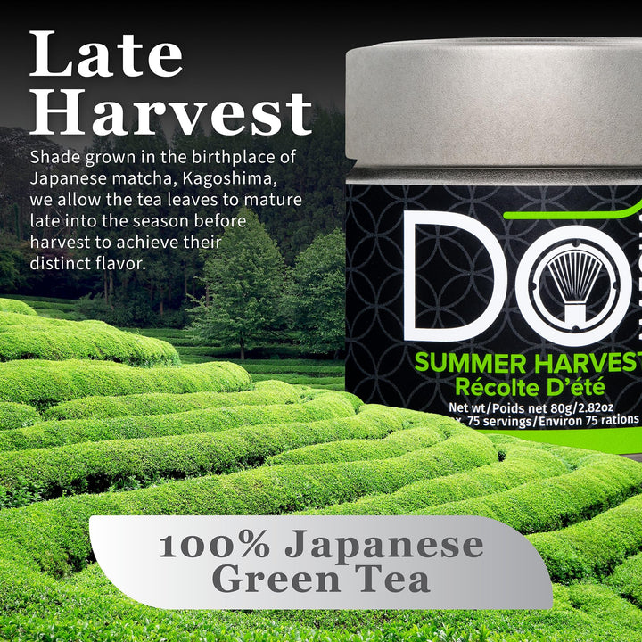 DoMatcha – Summer Harvest Matcha – 80 g Tin – 75 Servings