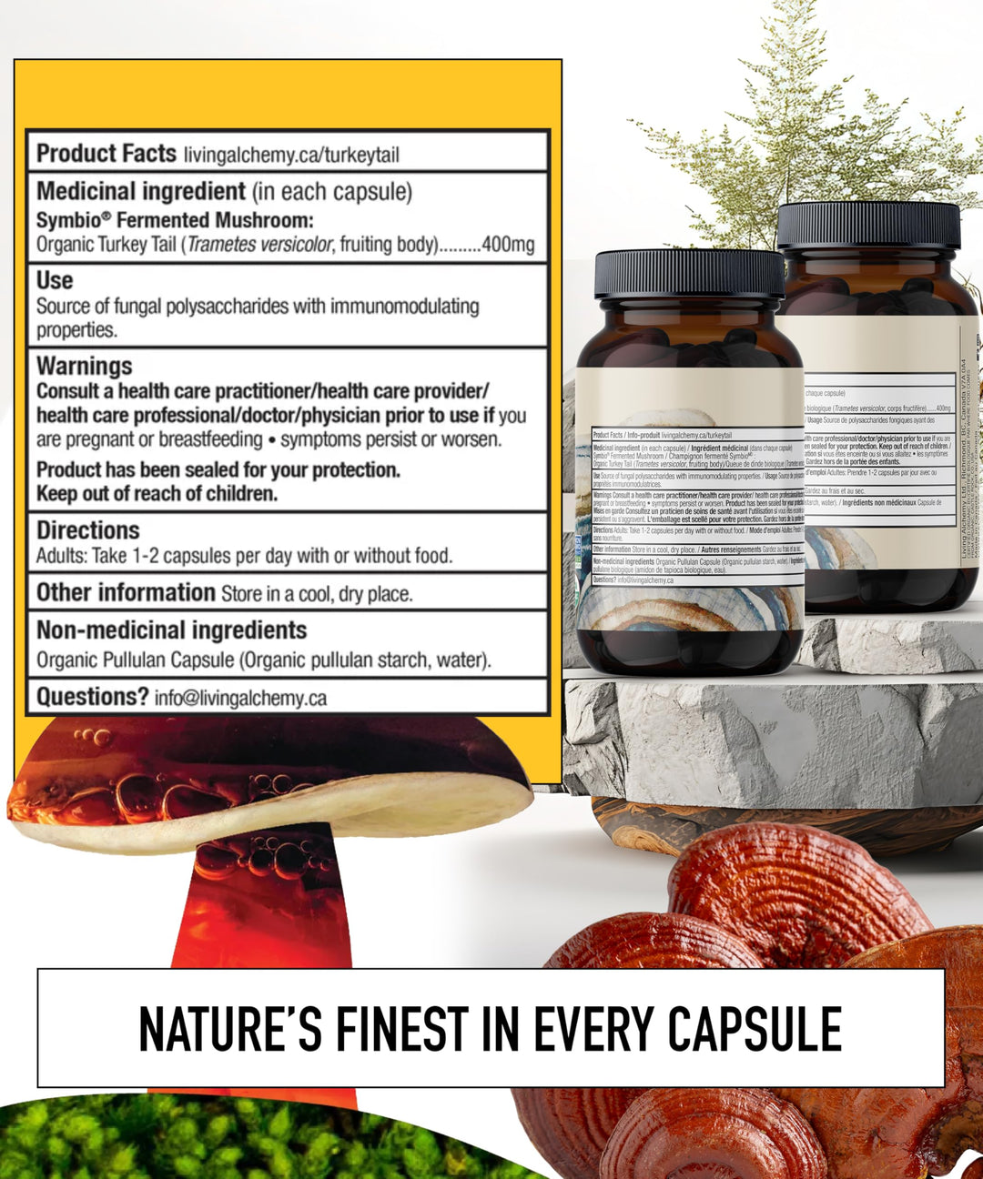 Living Alchemy Fermented Turkey Tail Mushroom – Organic Adaptogenic Supplement for Digestive & Immune Support, 60 Capsules - Canadian Distribution - Ships Free Within Canada on Orders Above CAD $199
