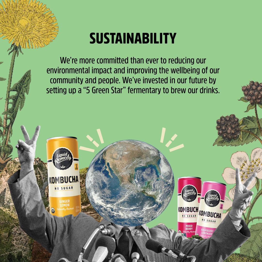 Remedy – Kombucha – Black Cherry – 24 × 355mL – Sugar free