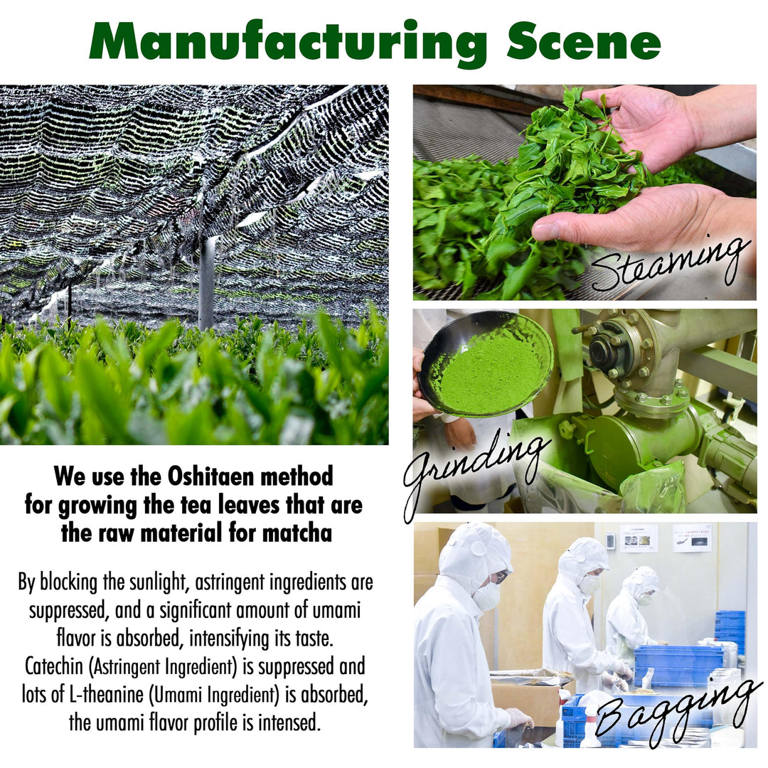 Yamasan Kyoto – Ceremonial Uji Matcha – BI Grade – 100g