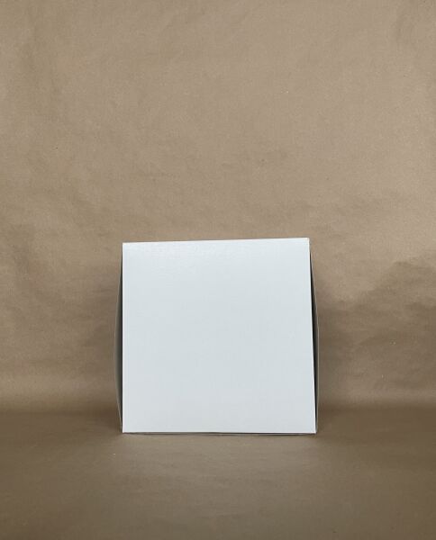 White Box 9" x 9" x 5"  100 per bundle