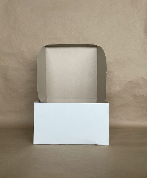 White Box 9" x 9" x 5"  100 per bundle - Disposable Take Away Food Packaging - Canadian Distribution