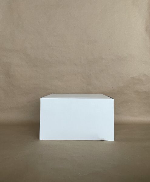 White Box 9" x 9" x 5"  100 per bundle - Disposable Take Away Food Packaging - Canadian Distribution