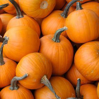 LES VERGERS BOIRON Frozen Vegetable Puree – Pumpkin (1kg) - Canadian Distribution - Ships Free Within Canada on Orders Above CAD $199