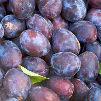 LES VERGERS BOIRON Frozen Fruit Puree – Dark Red Plum (1kg) - Canadian Distribution - Ships Free Within Canada on Orders Above CAD $199