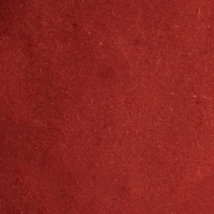 LES VERGERS BOIRON Frozen Fruit Puree – Dark Red Plum (1kg) - Canadian Distribution - Ships Free Within Canada on Orders Above CAD $199