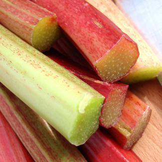 LES VERGERS BOIRON Frozen Fruit Puree – Rhubarb (1kg) - Canadian Distribution - Ships Free Within Canada on Orders Above CAD $199